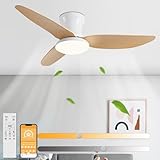 ANKBOY Deckenventilator mit Beleuchtung und Fernbedienung APP-Kontrolle...