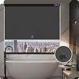 Graywind Verdunkelung Elektrische Rollo Innen Kompatibel Alexa Google, nach...