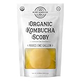 1 X Organic Kombucha Scoby - Live Culture by Scoby Kombucha by Scoby...