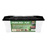 Terra Exotica Fauna Box Flat Transportbox für Reptilien, Amphibien,...