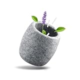 Siegvoll Verdampferschale Sauna aus Granit - 6,5 x 6,5 cm Sauna Ei für...