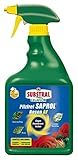 Substral Celaflor Pilzfrei Saprol Rosen AF, anwendungsfertiges Spray gegen...