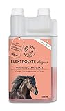 Annimally Elektrolyte Liquid für Pferde 1000ml mit Natrium, Kalium,...