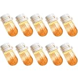 10 PC Parfüm & Öl 2 In 1–Avocado Pflegendes & Glänzendes...