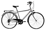 Discovery Denver Herren Trekkingrad Manhattan Herrenfahrrad (28 Zoll),...