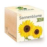 Feel Green 296268 Ecocube Sonnenblume, Bio Zertifiziert, Nachhaltige...
