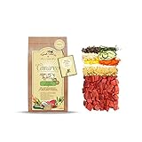 Terra Canis Rind, Gemüse, Obst & Kokosmehl - Canireo Trockenfutter, 1kg I...