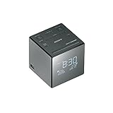 Sony XDR-C1DBP-CEK Wiederaufladbare Tragbare Batteriebetriebene Taschen...