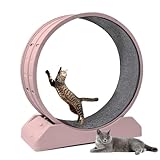 Laufrad für Katzen, Laufräder für Katzen im Innenbereich, Laufband für...