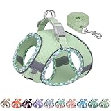AIITLE Hundegeschirr und Leine Set, No Pull Schritt in Welpengeschirr mit...