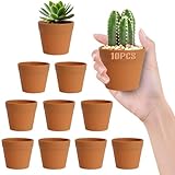 HIGA-JKL 10 Stück Plastik Pflanzentöpfe 7CM Mini Bruchsichere Plastik...