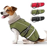 Woiil Hundemantel Winter, Hundemantel Wasserdicht für Kleine Hunde mit...