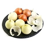 90samen steckzwiebeln - winterfeste für balkon, bio gartenpflanzen...