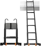 Teleskopleiter mit abnehmbarem Haken, leichte Schwarze...