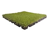 Gartenpirat Premium Fallschutzmatte 50x50 cm Stärke 50 mm Teppichplatte...