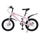 Gdetnysty Mountainbike für Kinder 18 Zoll Kinderrad Jungen Mädchen 1 Gang...