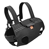 Hundestützgurt - Verstellbare Hundetragetasche | Atmungsaktives...
