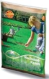 Pegasus Nachsaat-Rasensamen, 1 Kg, 25qm, 622258 - Turbo Nachsaat Rasen,...