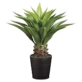 SilksAreForever Agave Attenuata Kunstpflanze mit Topf, 81,3 cm, Grün
