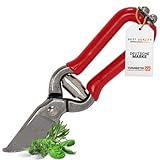 Topanbieter999 Mini Gartenschere rot – 14 cm Blumenschere, Kräuterschere...