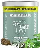 10-in-1 Zahnpflege Leckerli für Hunde - Fresh Smile 120 Snacks (350g) von...