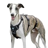 Paworld Sicherheitsgeschirr Hund, Anti Zug Hundegeschirr, Panikgeschirr...