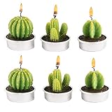 CHSG 6 PCS Decorative Kaktus Kerzen Teelicht Rauchfrei, Sukkulente Cactus...