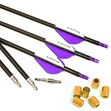 6 Stück 21-Zoll 400-Spine Pfeil Abnehmbare Pfeilspitzen Übungspfeil...