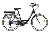 Discovery E4000 E-Bike, City Bike mit 26 Zoll Rädern, Shimano...