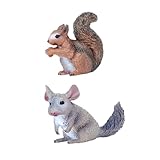 Abaodam 2 Stück Simulierte Eichhörnchen Lehrmittel Eichhörnchen...