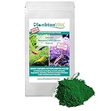 PlanktonVital lebendes Nannochloropsis Plankton Pulver für Korallen,...