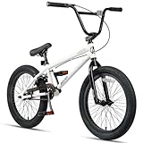 AVASTA Hesper 20 Zoll Kinderfahrrad Freestyle BMX Fahrräder für 6 7 8 9...