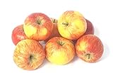 Äpfel Topaz vom Bodensee süß-säuerlicher Apfel 5 KG