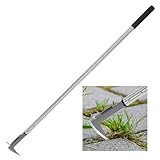 BARAYSTUS Fugenkratzer Unkraut, Fugenkratzer mit Langem Griff, 138cm...