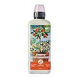 Plantura Bio Zitrus- & Mediterrandünger, Bio Flüssigdünger für...