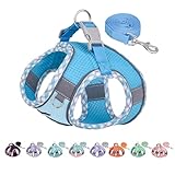 AIITLE No Pull Hundegeschirr und Leine Set, Schritt in einstellbaren...