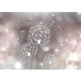 Runa Art Fototapete Pusteblumen Abstrakt 352 x 250 cm Vlies Tapeten XXL...