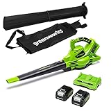 Greenworks GD24X2BVK4X Akku Laubsauger / Laubbläser mit Schultergurt,...