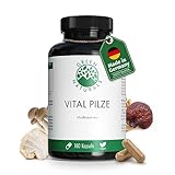 Vital Pilze - Veganer Pilzkomplex | Hochdosiert mit 1300mg pro Tagesdosis|...