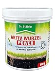 Dr. Stähler Aktiv Wurzel Power