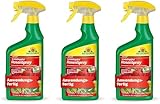 Neudorff Spruzit Schädlingsfrei Rosenspray AF 3x 750 ml saugende Insekten...