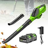 Laubbläser, 21 V, Akku, 60 m/s 18.000 U/min/5 Geschwindigkeiten,...