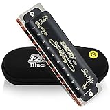 East Top Diatonische Blues Harmonica Mundharmonika 10 Löcher T008K Tonart...