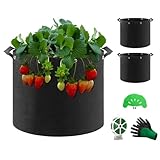 QCR Tomaten kübel, 3 Stück 12 L Pflanztasche Pflanzsack mit Griffe und...