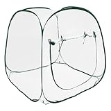 Pop-Up-Überwinterungsgewächshaus, 98 x 98 x 98 cm, Mini-Gewächshaus für...
