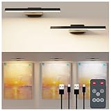 Deyagoo Bilderleuchte Kabellos, 2 Stück LED Wandleuchte Innen mit...