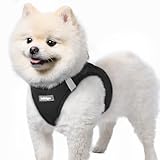 rabbitgoo Hundegeschirr Kleine Hunde, Step-in Welpengeschirr Weich Mesh...