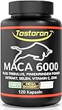 Tostoron MACA 6000 Kapseln hochdosiert plus TRIBULUS, Pinienrinden Extrakt...