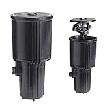 Saturnia Versenkregner, 1/2 weiblich