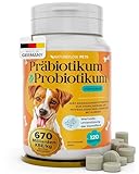 Probiotika Hund mit 670 Milliarden KBE - Optimale Kombi mit Präbiotika...